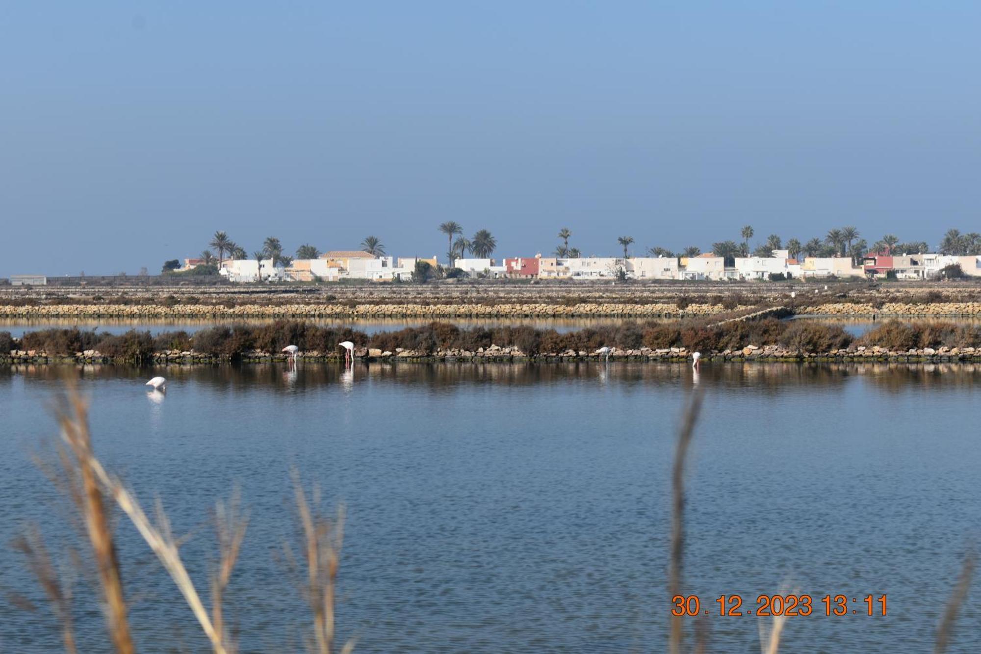 Apart Turisticos Marine Rest La Manga Mar Menor Piscinas Privadas Playa Paraiso  Kültér fotó