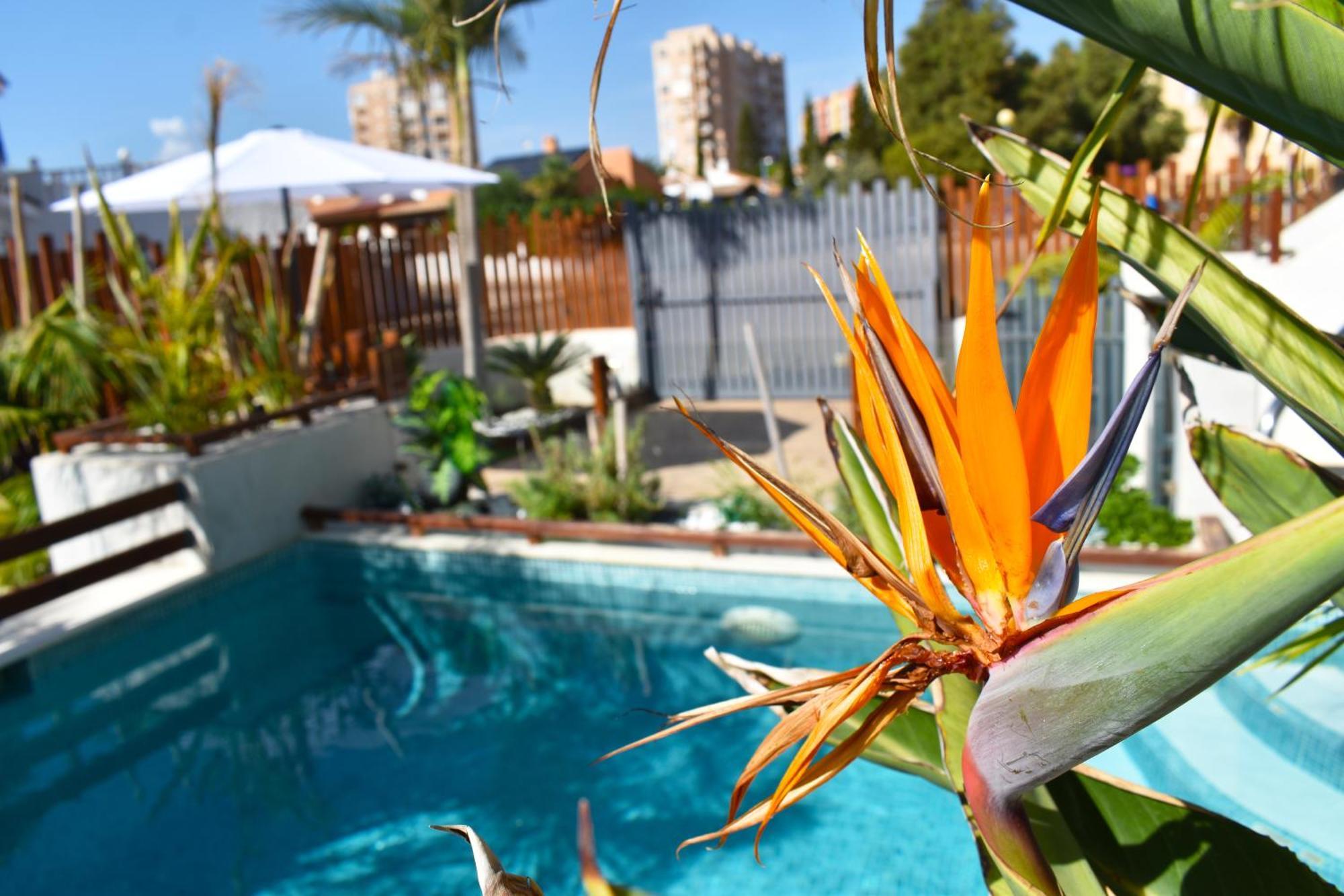 Apart Turisticos Marine Rest La Manga Mar Menor Piscinas Privadas Playa Paraiso  Kültér fotó